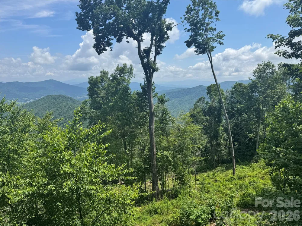 337 Rhododendron Lane Burnsville, NC 28714