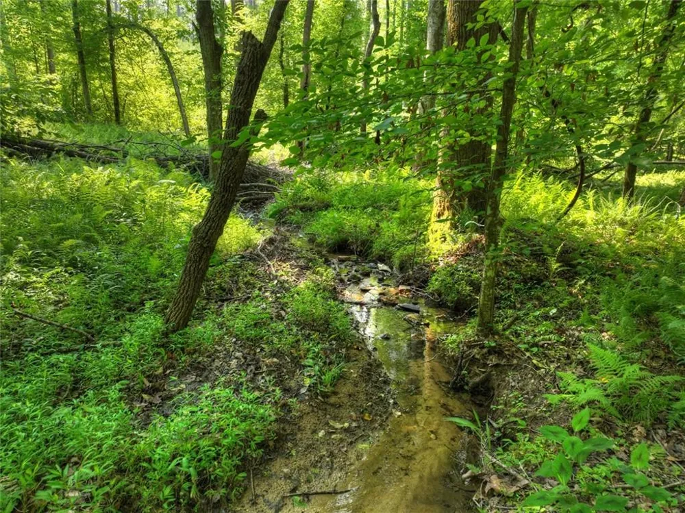 279 Shallow Water Trail Talking Rock, GA 30175