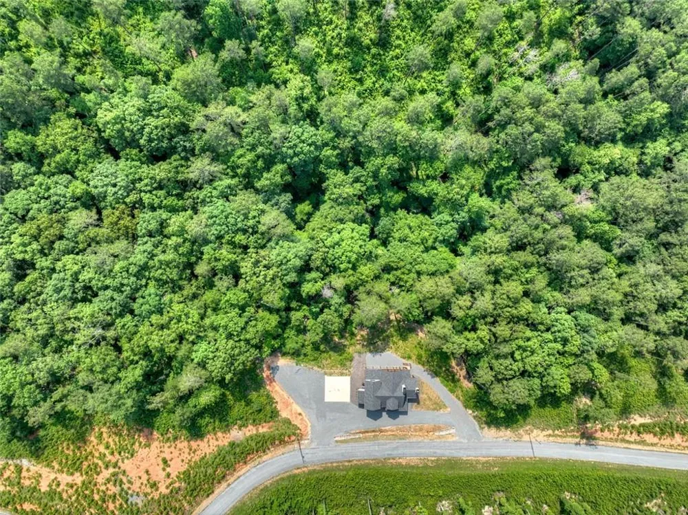 279 Shallow Water Trail Talking Rock, GA 30175