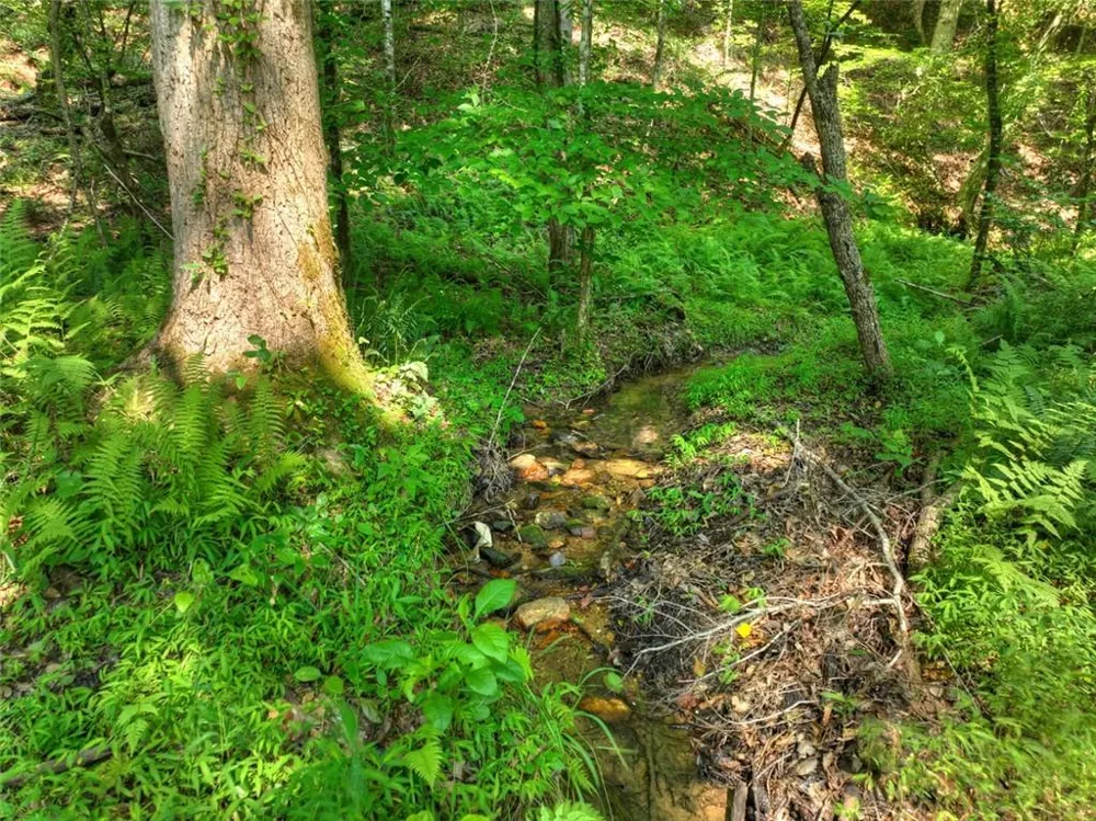 279 Shallow Water Trail Talking Rock, GA 30175