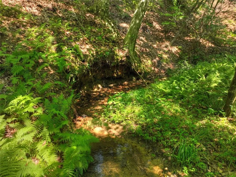 279 Shallow Water Trail Talking Rock, GA 30175