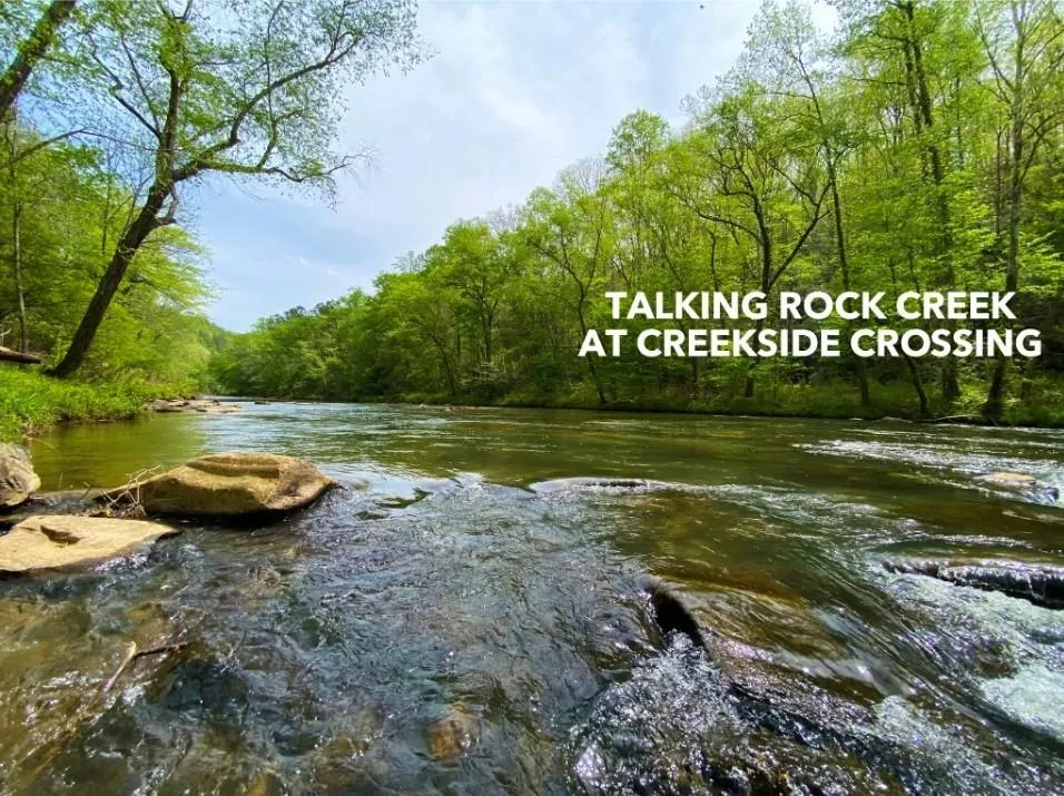 279 Shallow Water Trail Talking Rock, GA 30175
