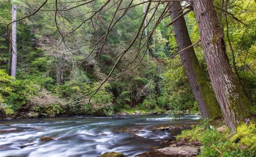 279 Shallow Water Trail Talking Rock, GA 30175