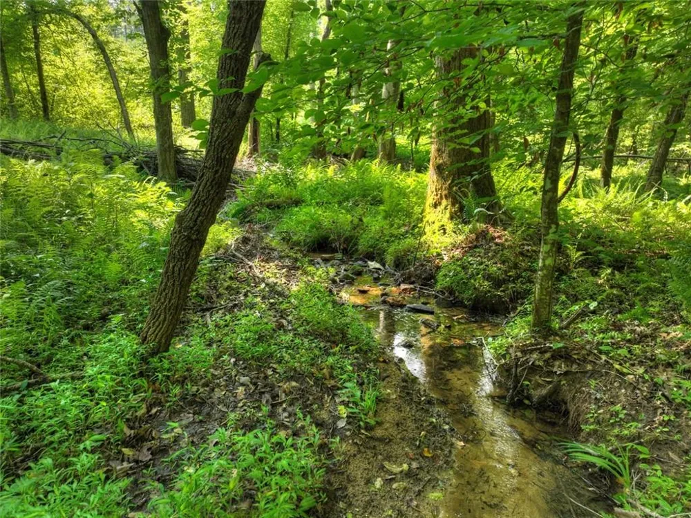 279 Shallow Water Trail Talking Rock, GA 30175