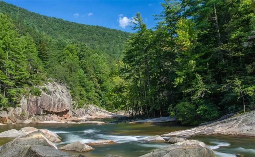 279 Shallow Water Trail Talking Rock, GA 30175