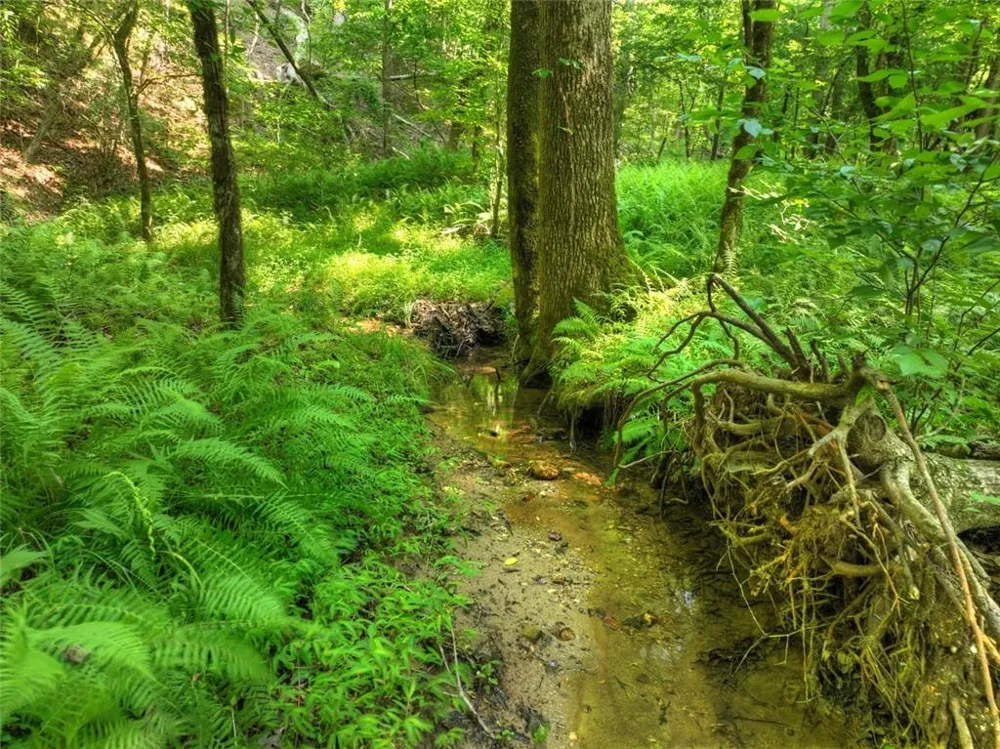 279 Shallow Water Trail Talking Rock, GA 30175