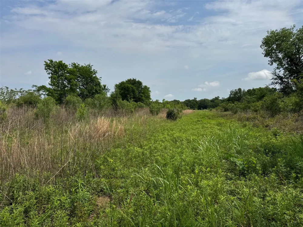 S Us Hwy 287 Crockett, TX 75835