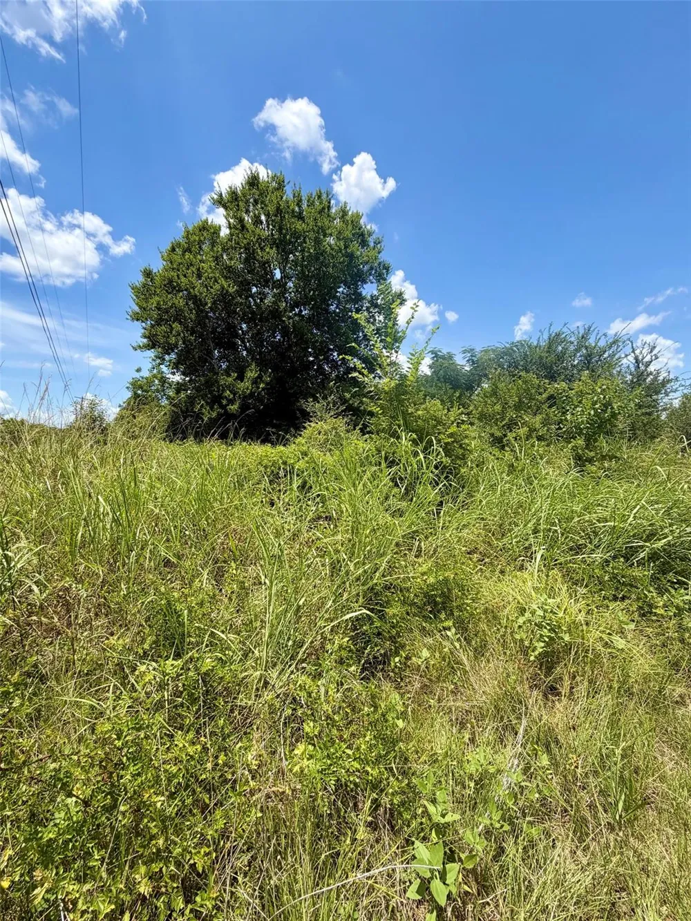S Us Hwy 287 Crockett, TX 75835