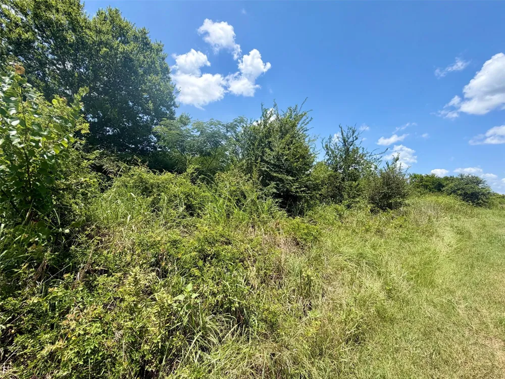 S Us Hwy 287 Crockett, TX 75835