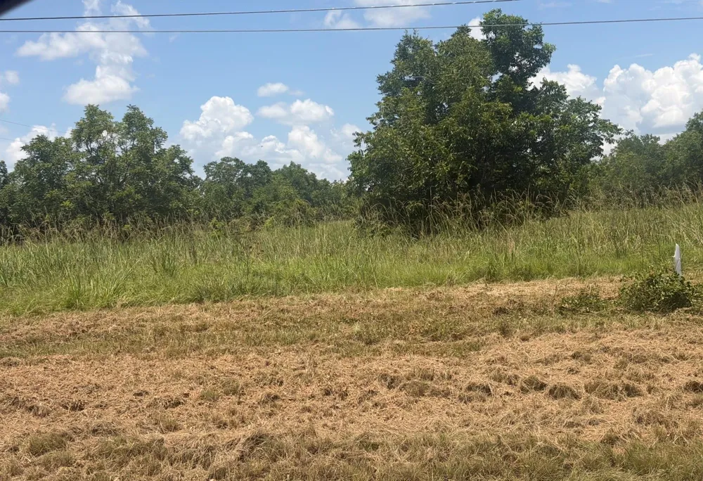 S Us Hwy 287 Crockett, TX 75835