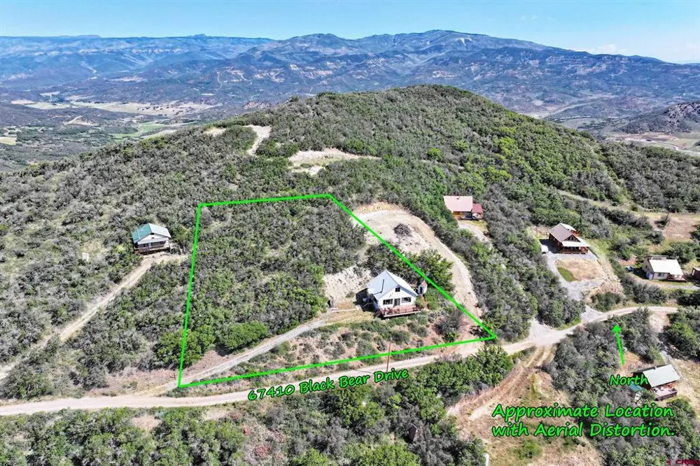 67410 Black Bear Drive Collbran, CO 81624