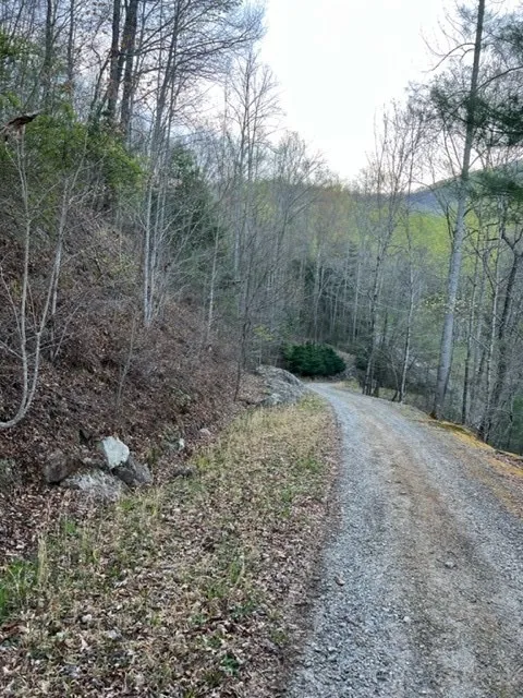 00 Glennview Lane Franklin, NC 28734