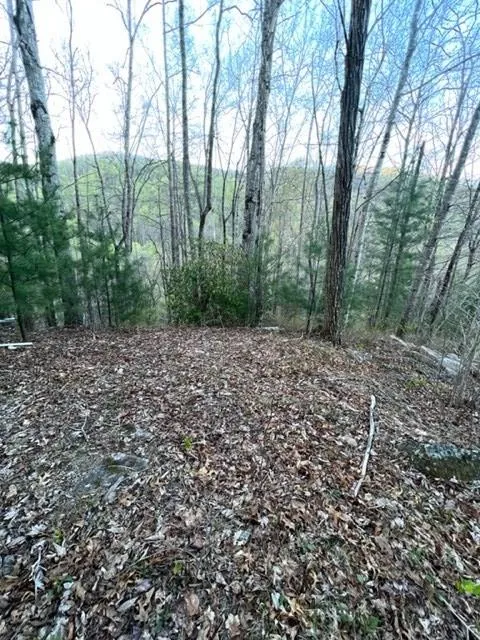 00 Glennview Lane