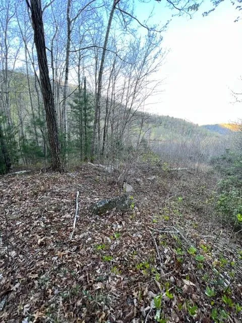 00 Glennview Lane Franklin, NC 28734