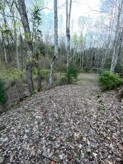 00 Glennview Lane Franklin, NC 28734