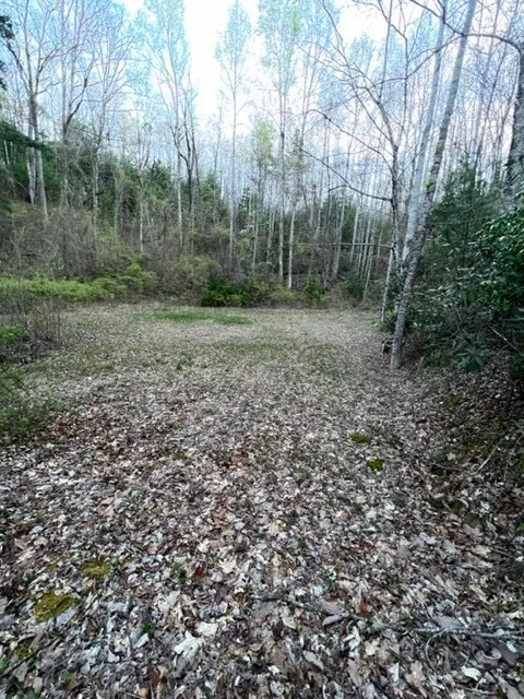 00 Glennview Lane Franklin, NC 28734