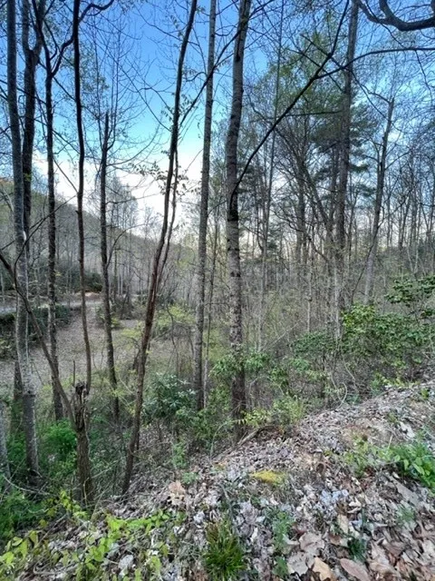 00 Glennview Lane Franklin, NC 28734