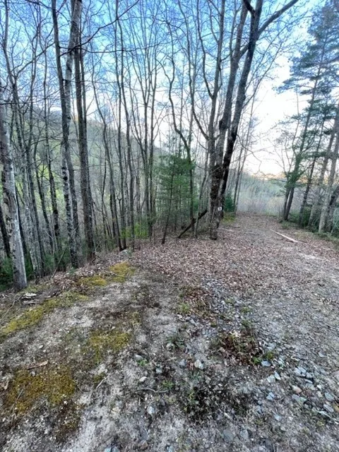 00 Glennview Lane Franklin, NC 28734