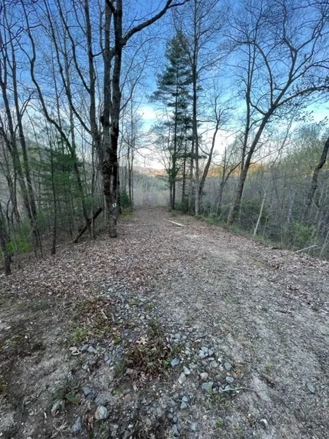 00 Glennview Lane Franklin, NC 28734