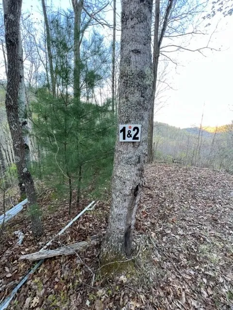 00 Glennview Lane Franklin, NC 28734