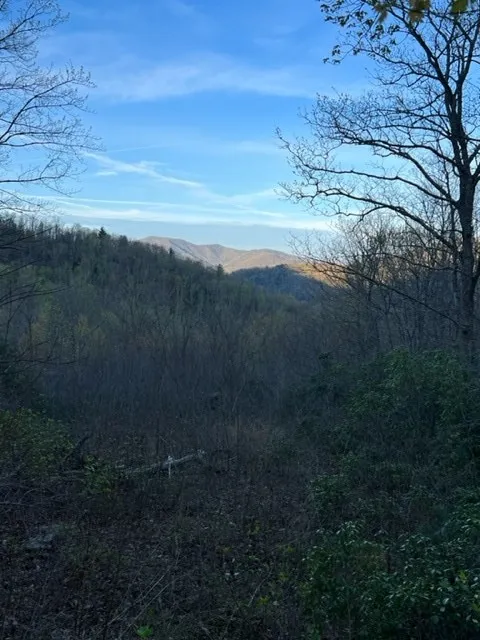 00 Glennview Lane Franklin, NC 28734