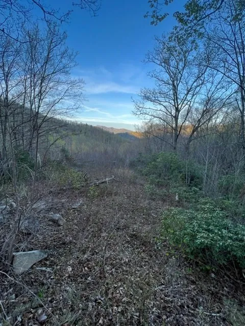 00 Glennview Lane Franklin, NC 28734