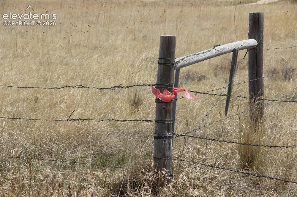 County Road 133 Simla, CO 80835