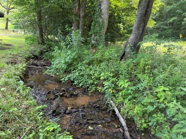 Black Mountain Creek Road Franklin, NC 28734