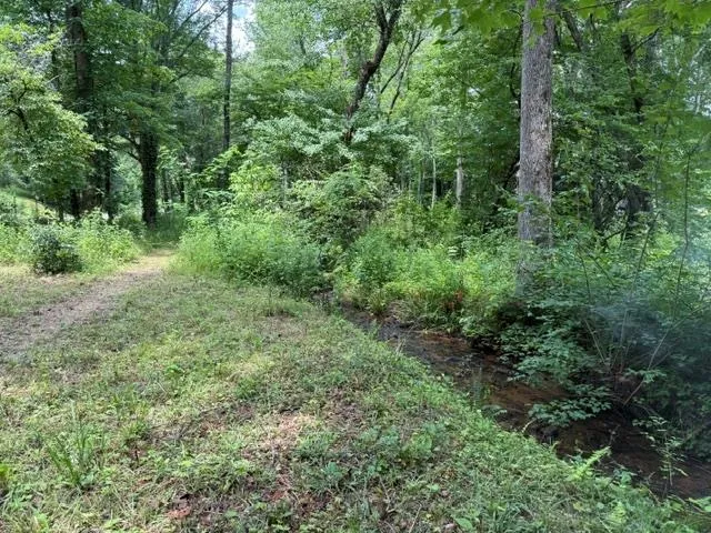 Black Mountain Creek Road Franklin, NC 28734