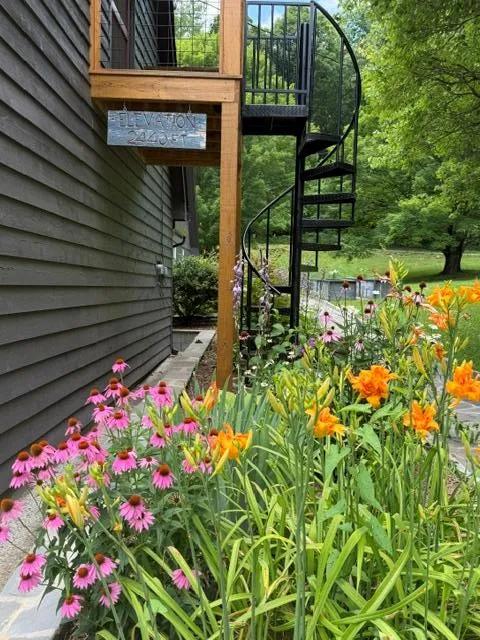 Black Mountain Creek Road Franklin, NC 28734