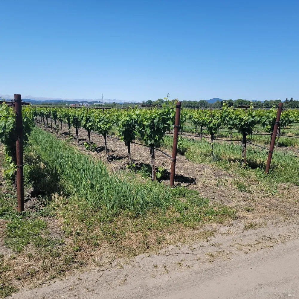 2705 River Road Windsor, CA 95492