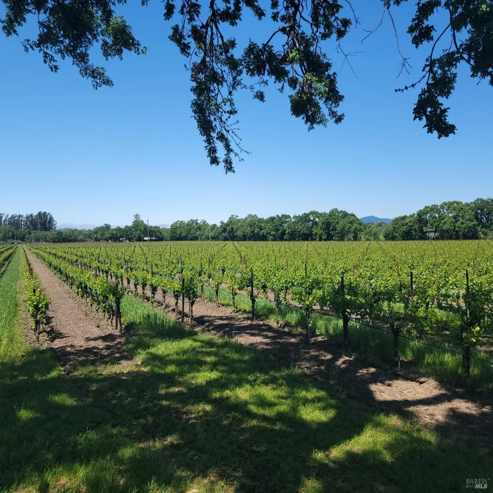 2705 River Road Windsor, CA 95492