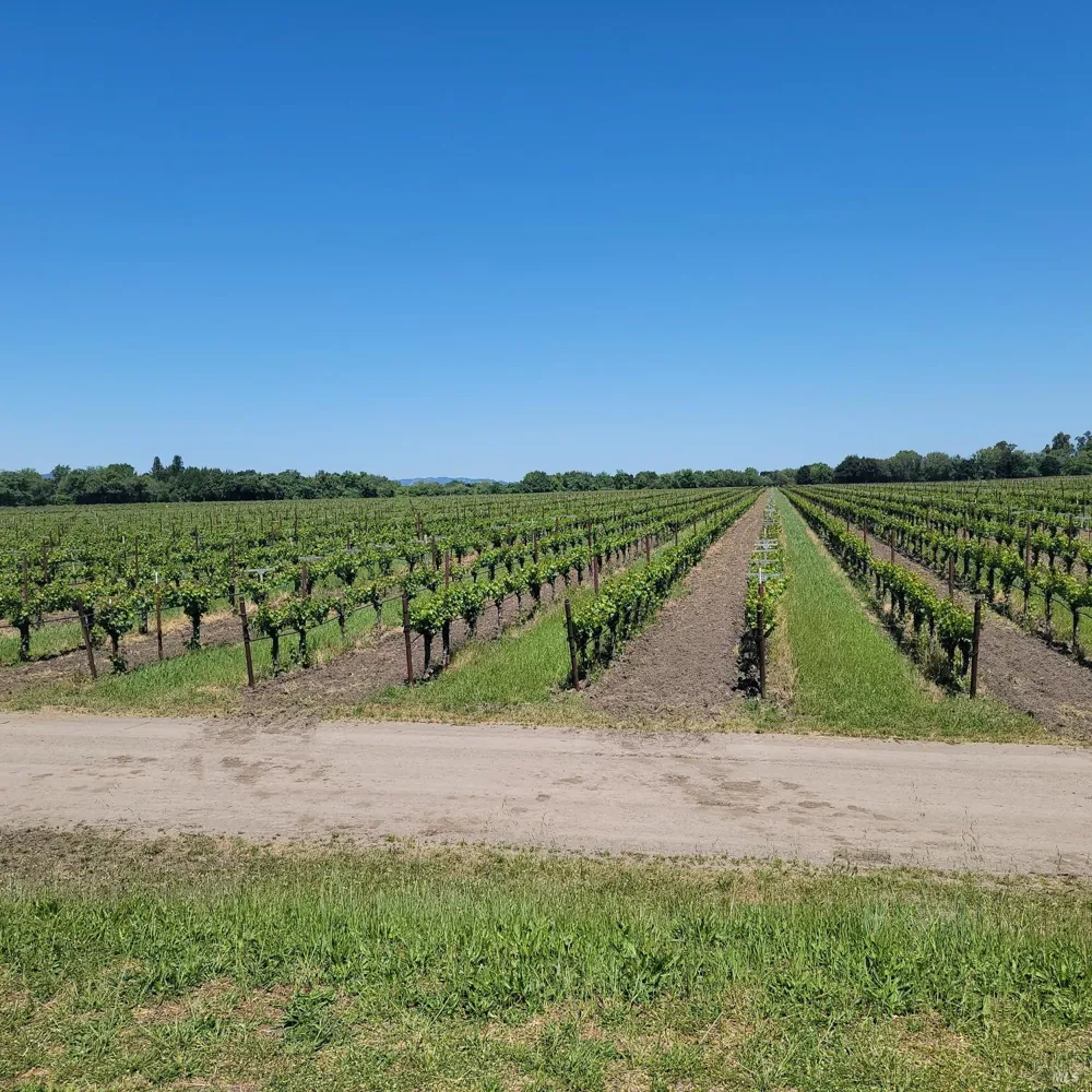 2705 River Road Windsor, CA 95492