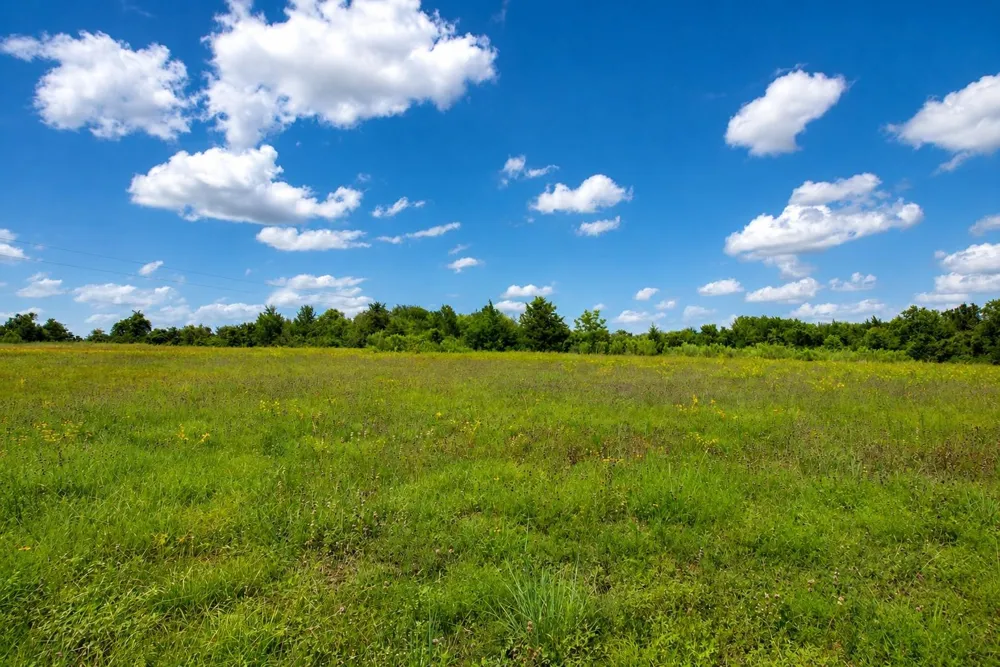 3827 Felder Road Washington, TX 77880