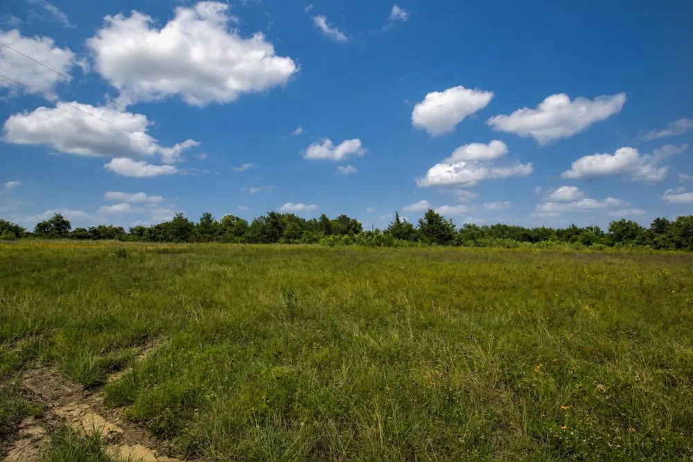 3827 Felder Road Washington, TX 77880