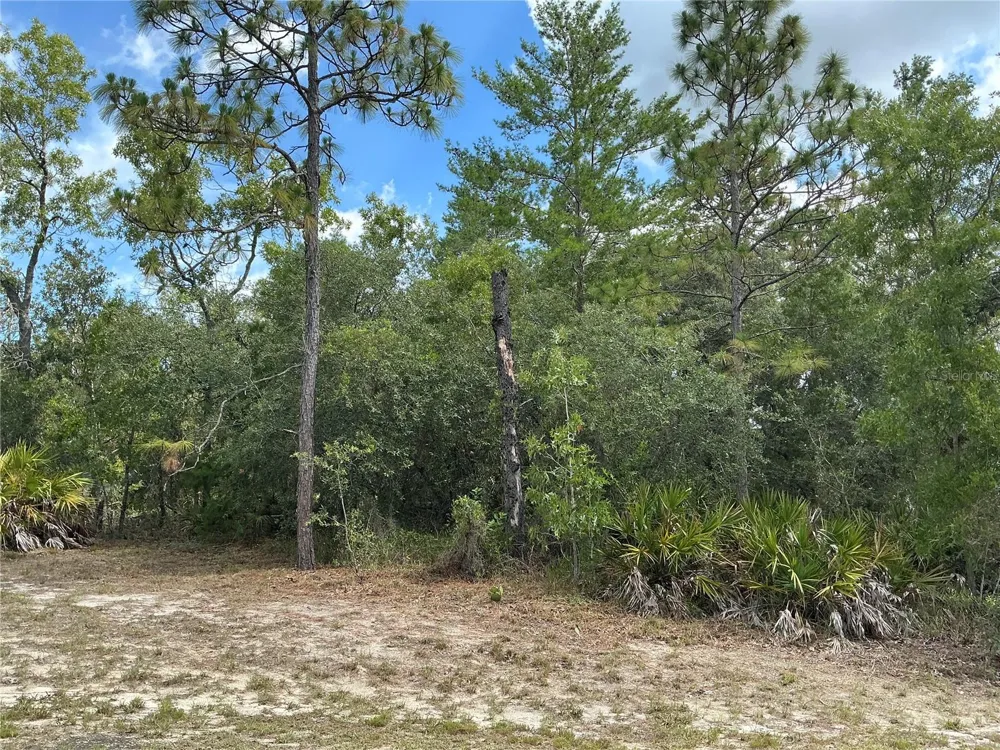 PERSIMMON AVENUE Weeki Wachee, FL 34614