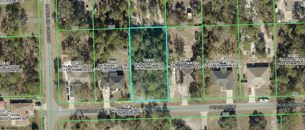 PERSIMMON AVENUE Weeki Wachee, FL 34614