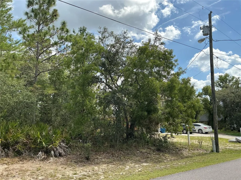 PERSIMMON AVENUE Weeki Wachee, FL 34614