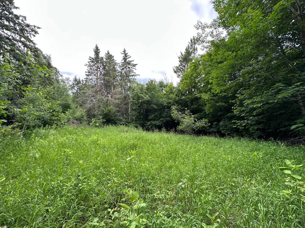 TBD 269th Avenue Laporte, MN 56461