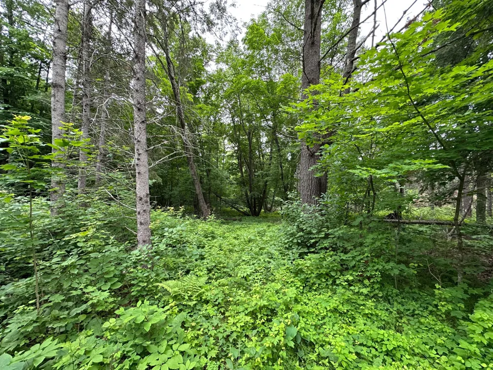 TBD 269th Avenue Laporte, MN 56461