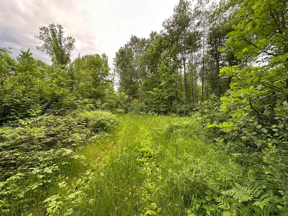 TBD 269th Avenue Laporte, MN 56461