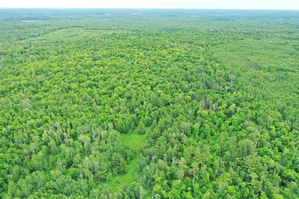 TBD 269th Avenue Laporte, MN 56461