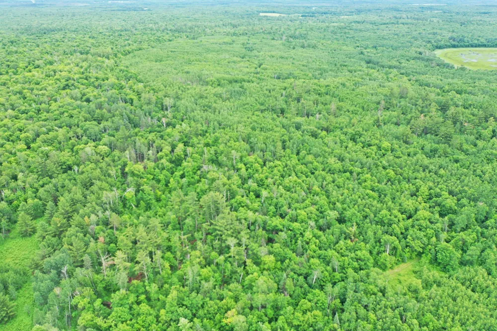 TBD 269th Avenue Laporte, MN 56461