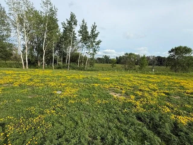 26371 Preserve Drive Elko New Market, MN 55054