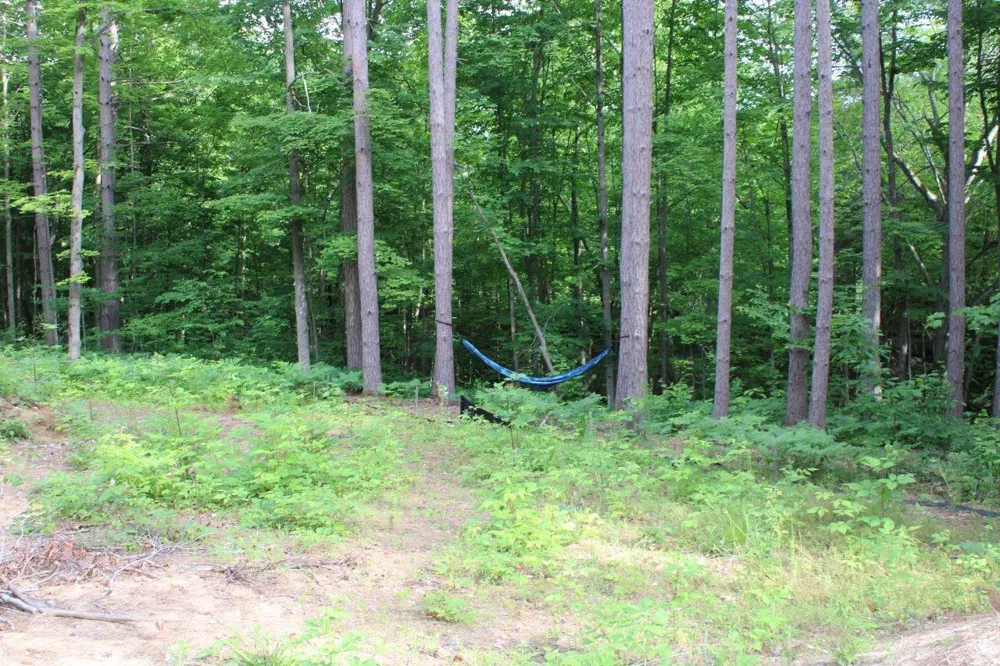 2750 NE Apple Creek Road Kalkaska Township, MI 49646
