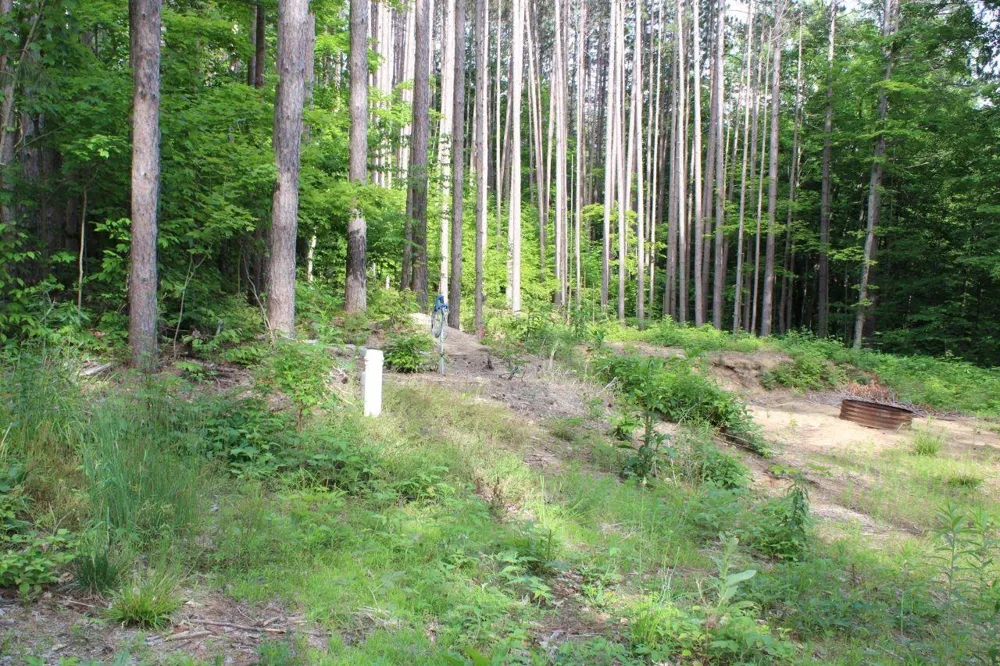 2750 NE Apple Creek Road Kalkaska Township, MI 49646
