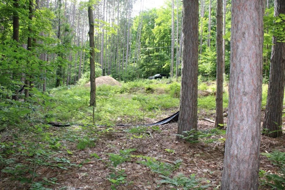 2750 NE Apple Creek Road Kalkaska Township, MI 49646