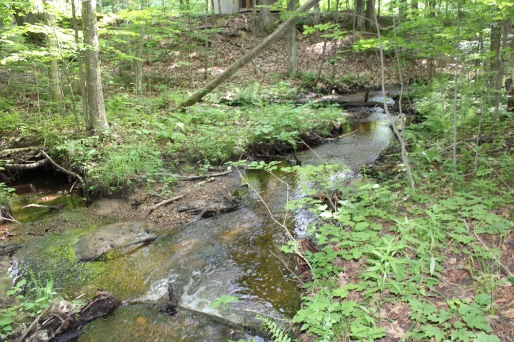 2750 NE Apple Creek Road Kalkaska Township, MI 49646