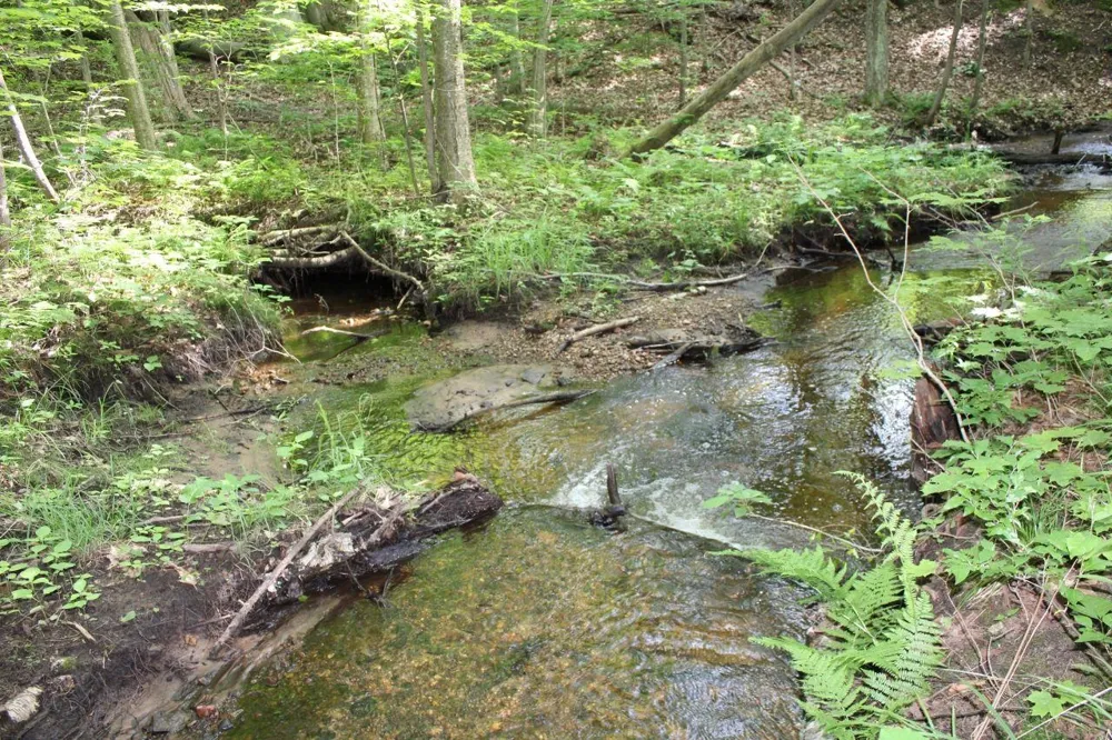 2750 NE Apple Creek Road Kalkaska Township, MI 49646