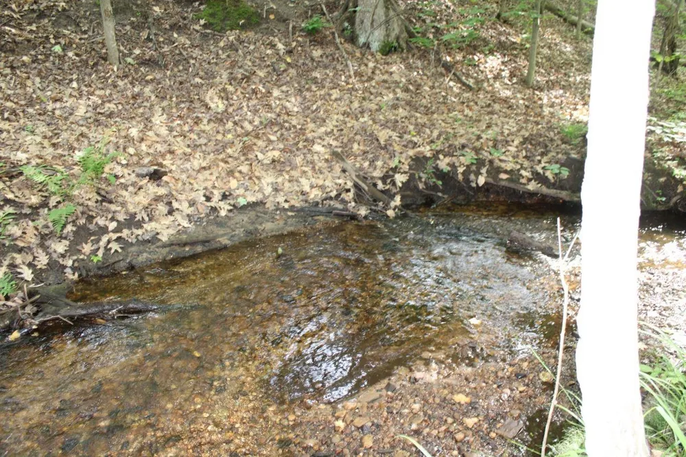 2750 NE Apple Creek Road Kalkaska Township, MI 49646